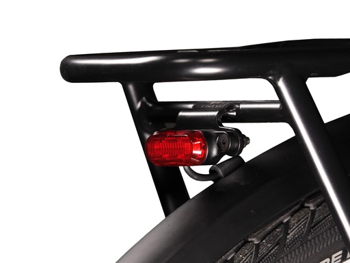 [d791] LUPINE C 14 G - Rack version