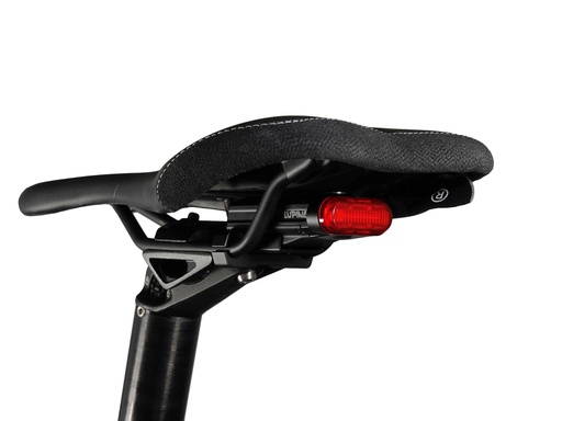 [d766] LUPINE C 14 Mag